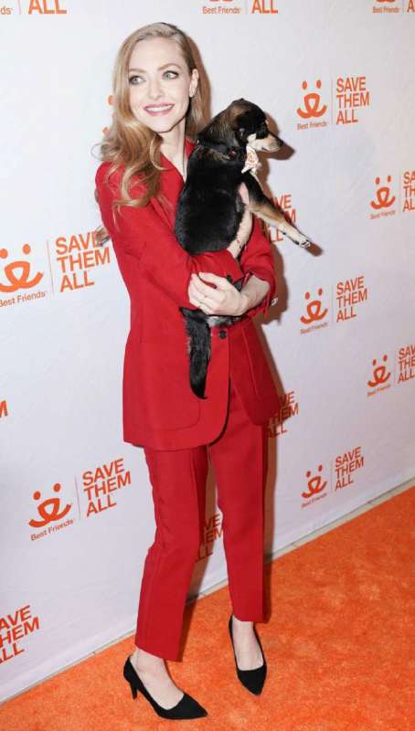 Why is Lube So Important for Anal Play & What Lube Should You Be Using?